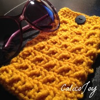 Sunglass Case
